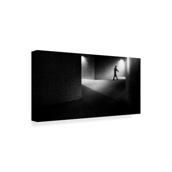 Laura Mexia 'Emptiness Corridor' Canvas Art,24x47